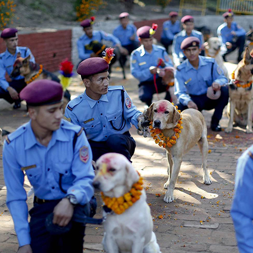http://alldatmatterz.com/img/article/1227/nepal.jpg