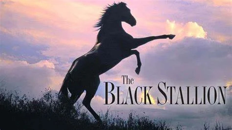 The Black Stallion
