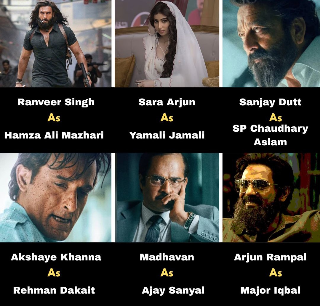 TV Celebs Who Made Dhurandhar A Blockbuster Despite Controversies