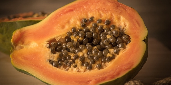 papaya